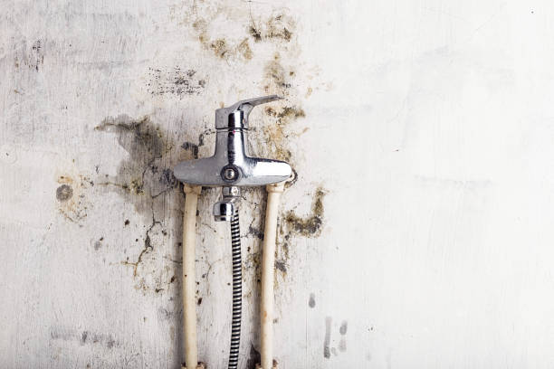 Best Mold Cleaning Services  in Rio Verde, AZ
