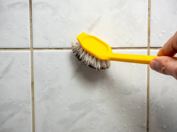 Best Black Mold Removal  in Rio Verde, AZ