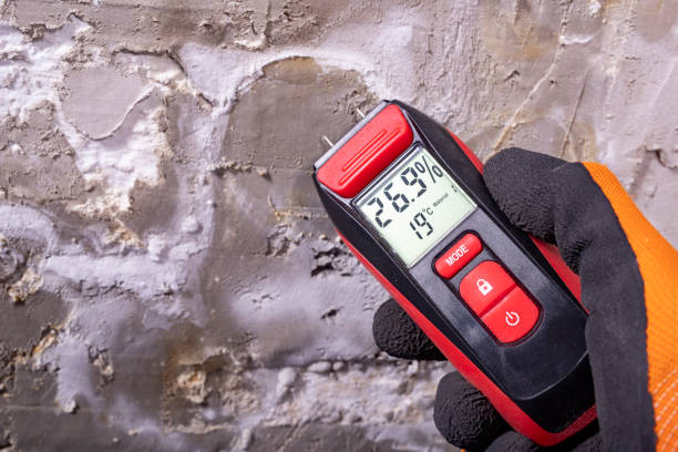 Best Attic Mold Removal  in Rio Verde, AZ