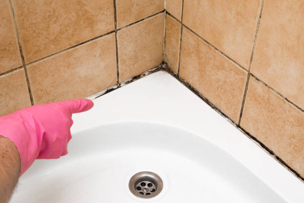 Best Residential Mold Removal  in Rio Verde, AZ